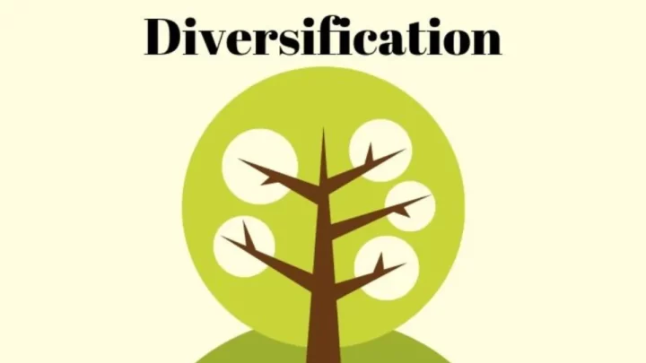 business-diversification